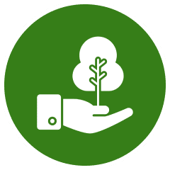 Hand holding tree symbol on green background.