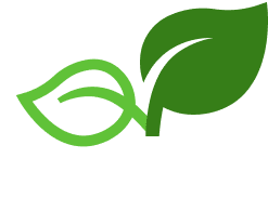 Green leaf logo on black background.