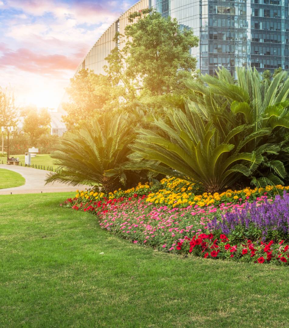 A vibrant flower bed with colorful blooms in a sunny park.