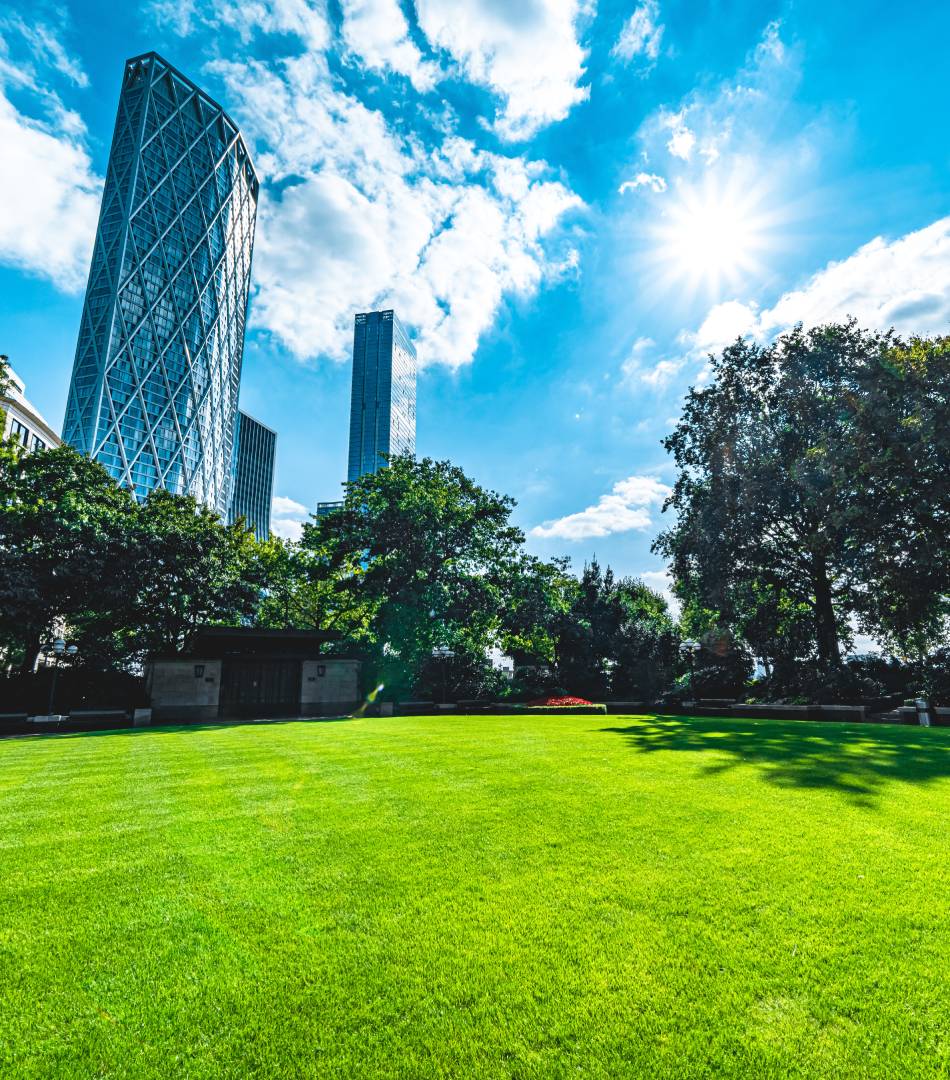 A vibrant green park with skyscrapers under a bright blue sky.