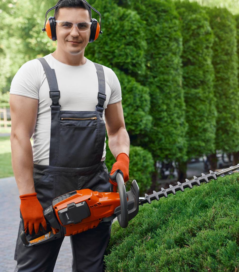 Man trimming hedges with a chainsaw in a garden.