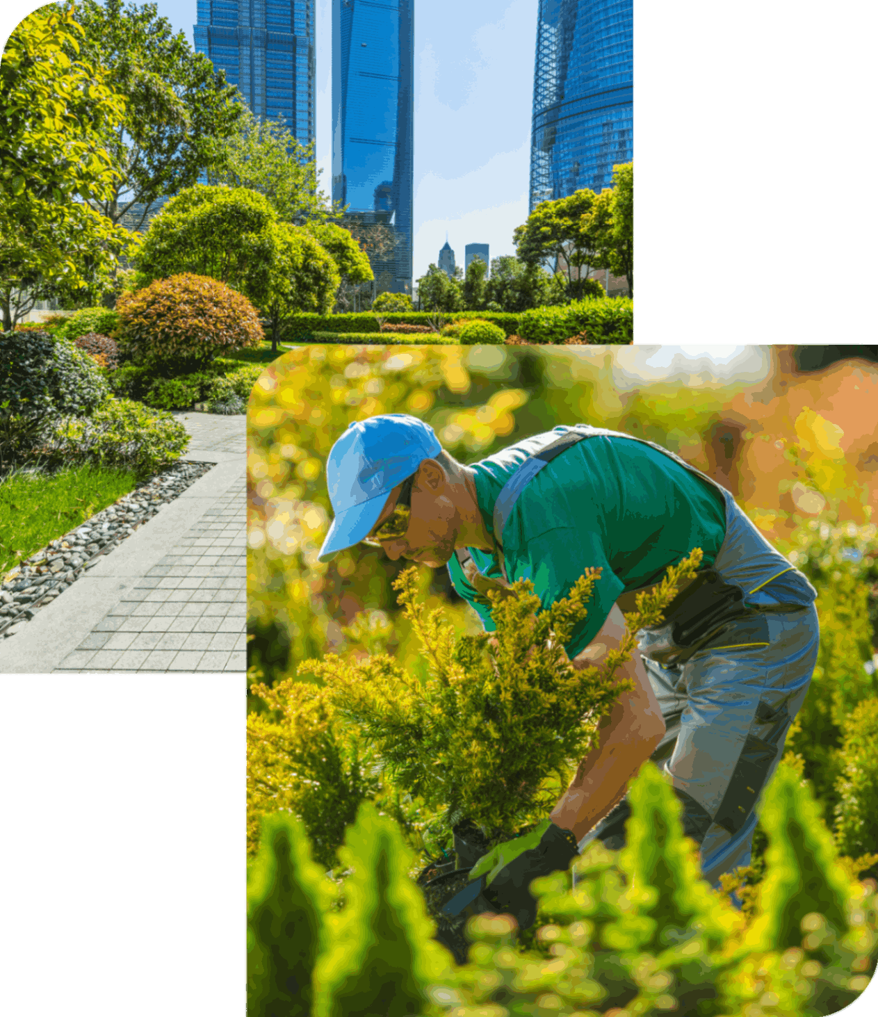Gardener working in a lush city park.