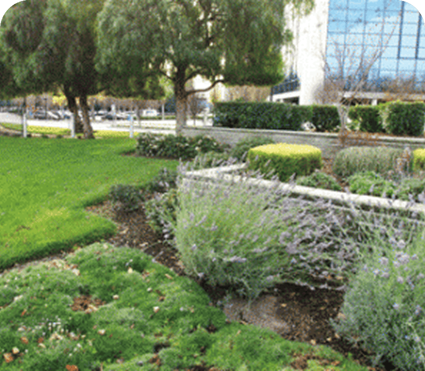 Lush garden with trees and modern building.