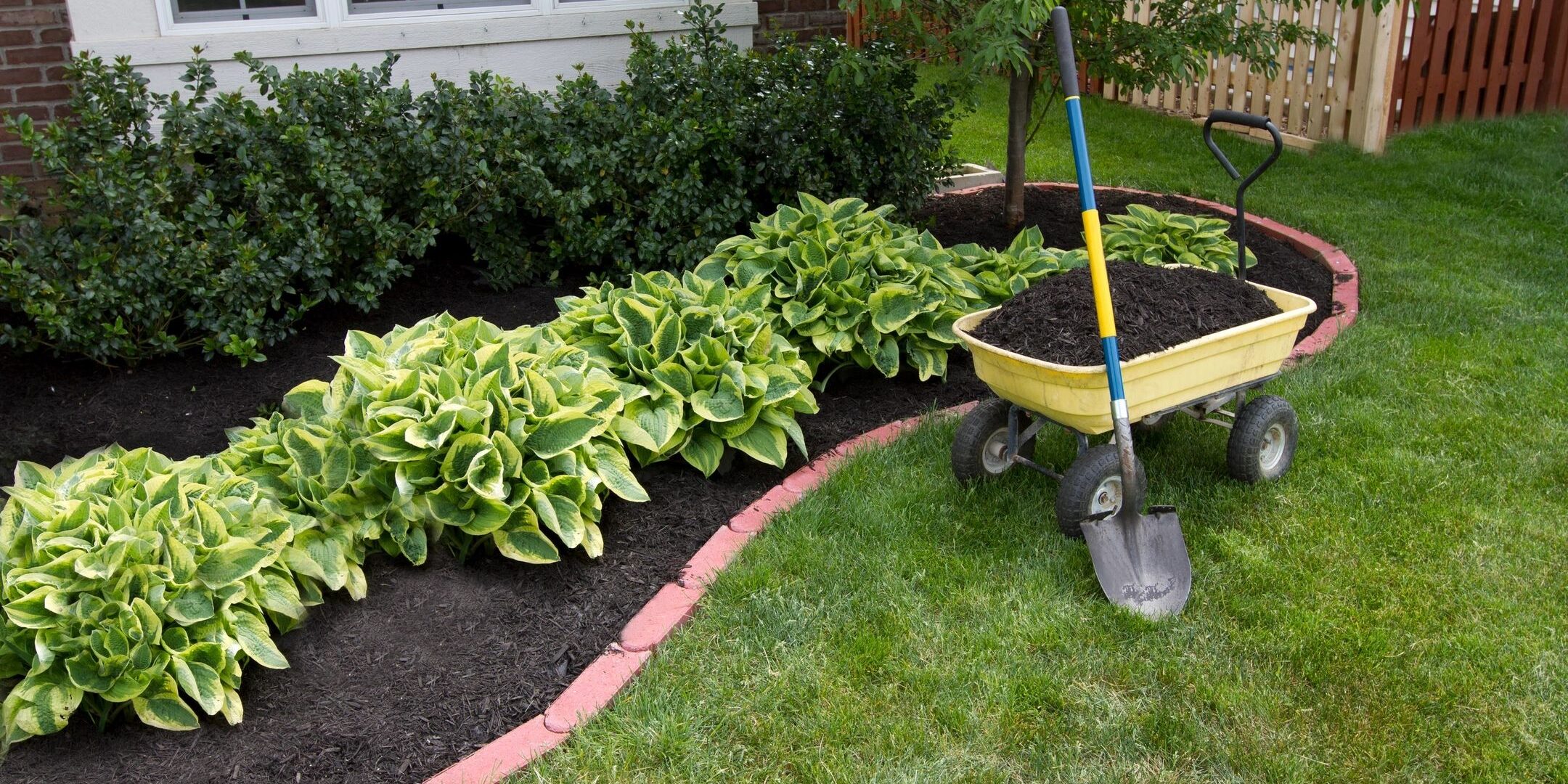 A garden bed with hostas bordered by pink bricks and gardening tools.